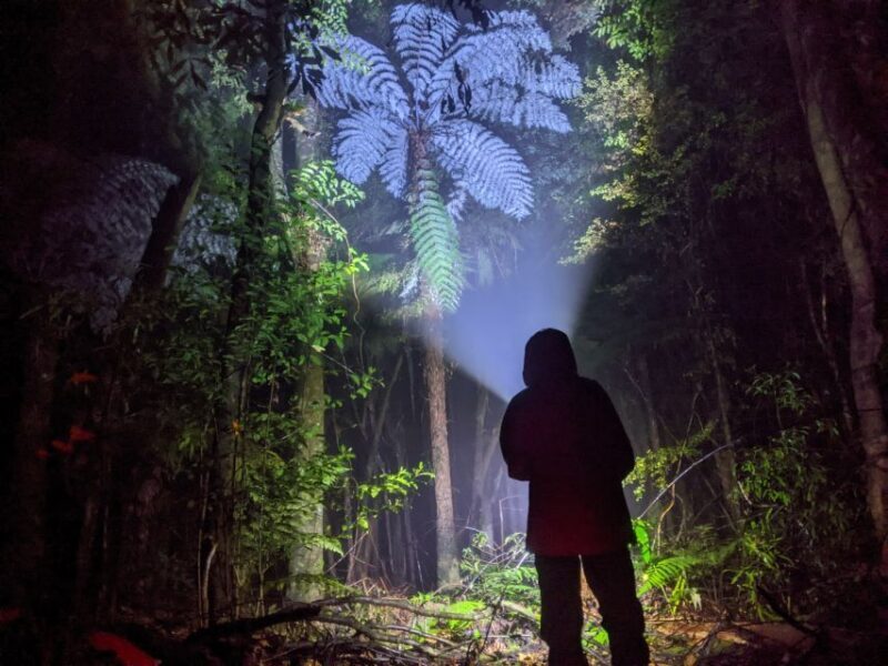 Rotorua: Nocturnal Glow-Worm Adventure Tour with a Guide - The Guides and Their Expertise