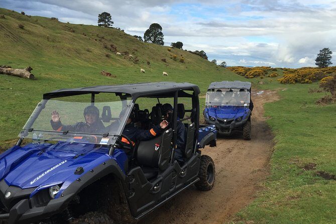 Rotorua Off-Road 4WD Buggy Adventure - The Practical Aspects: What You Need to Know