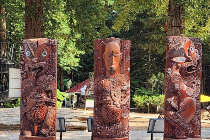 Rotorua Private Tour from Tauranga (up to 15 people) - Key Points
