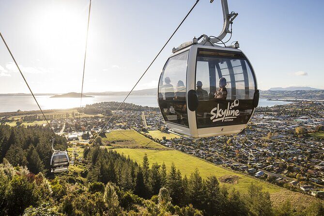 Rotorua Private Tour from Tauranga (up to 15 people) - Exploring Rotorua with a Private Guide: What to Expect
