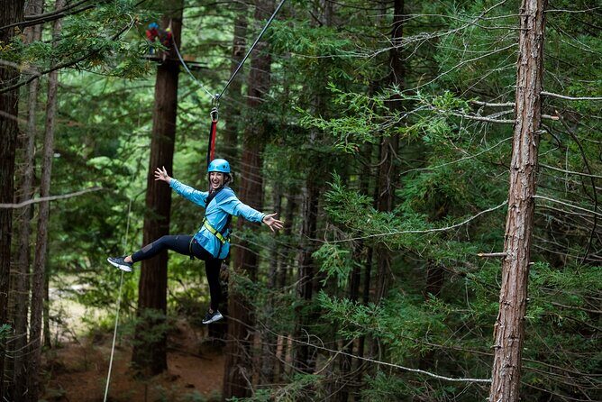 Rotorua: Redwoods Adventure 3-Hours - Rotorua: Redwoods Adventure 3-Hours — A Balanced Look at High-Flying Forest Fun