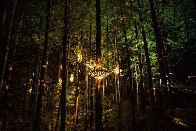 Rotorua: Redwoods Adventure 3-Hours - The Detailed Review: Why This Tour Works
