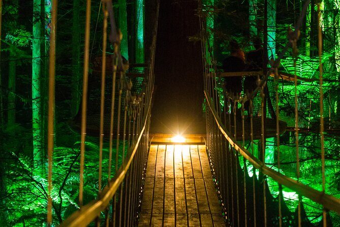 Rotorua: Redwoods Adventure 3-Hours - Final Thoughts