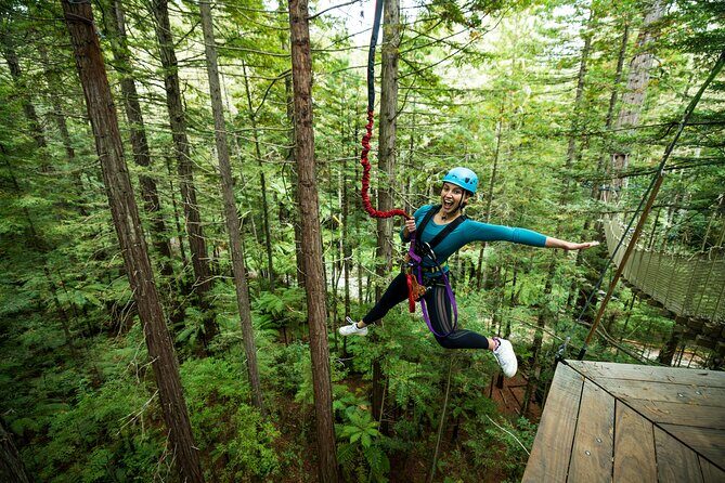 Rotorua: Redwoods Altitude High Ropes Adventure - Who Will Enjoy This Tour?
