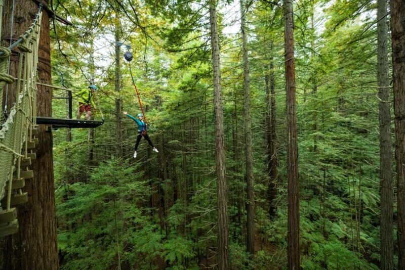 Rotorua: Redwoods Altitude High Ropes Adventure - Key Points