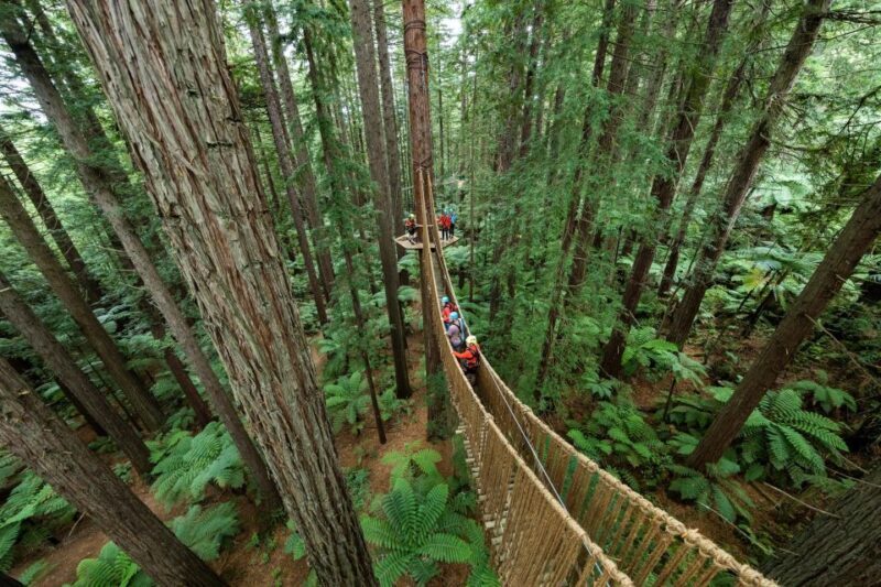 Rotorua: Redwoods Altitude High Ropes Adventure - FAQ