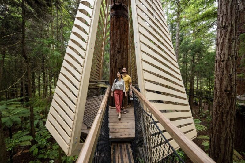 Rotorua: Redwoods Altitude, Nighttime Fast Pass, & Treewalk - Who Should Consider This Tour?