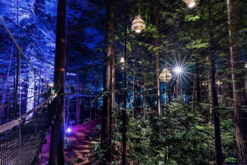 Rotorua: Redwoods Altitude, Nighttime Fast Pass, & Treewalk - Final Thoughts