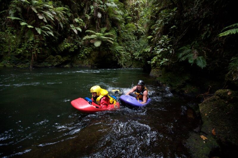 Rotorua Sledging: Kaituna White Water River Board Experience - Key Points