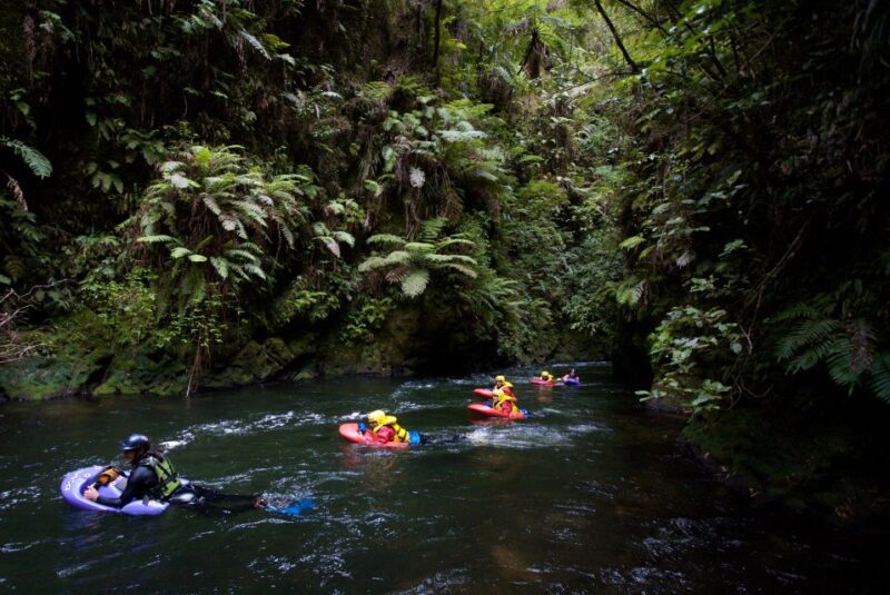 Rotorua Sledging: Kaituna White Water River Board Experience - Who Should Consider This Tour?