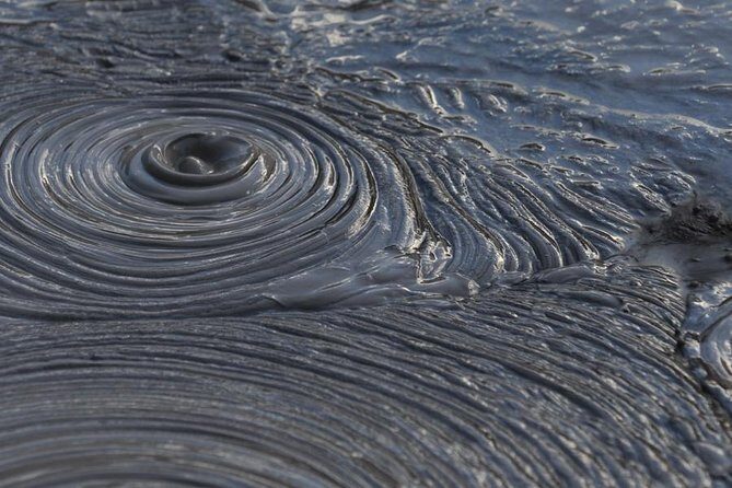 Rotorua Small-Group Day Tour from Auckland - A Detailed Look at the Rotorua Day Trip