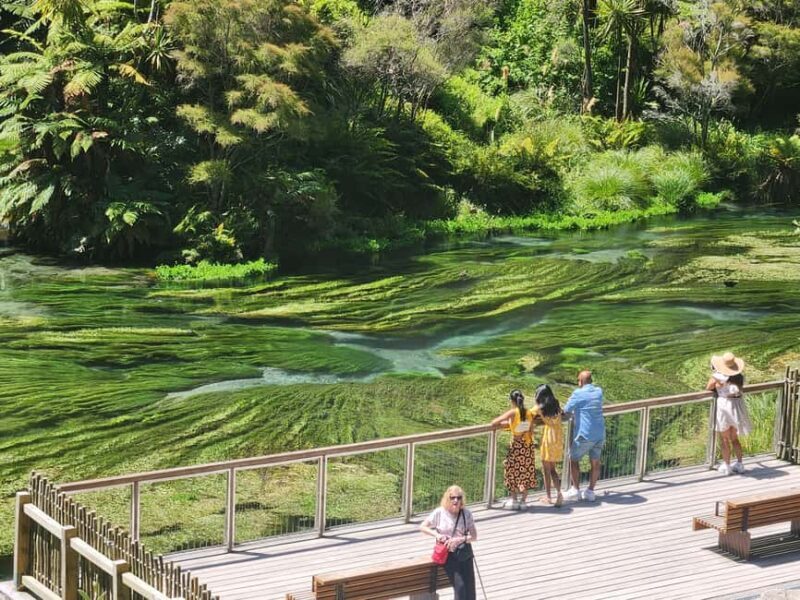 Rotorua & Taupo DayTour Waiotapu & Huka Falls from Auckland - Final Words