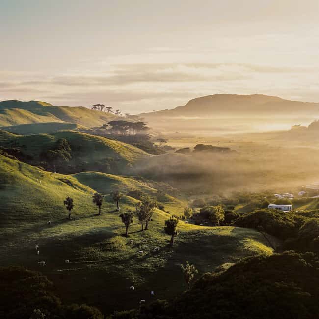 Rotorua & Taupo:Wai-O-Tapu, Redwood Walk & Hukka falls Tour - What the Itinerary Looks Like