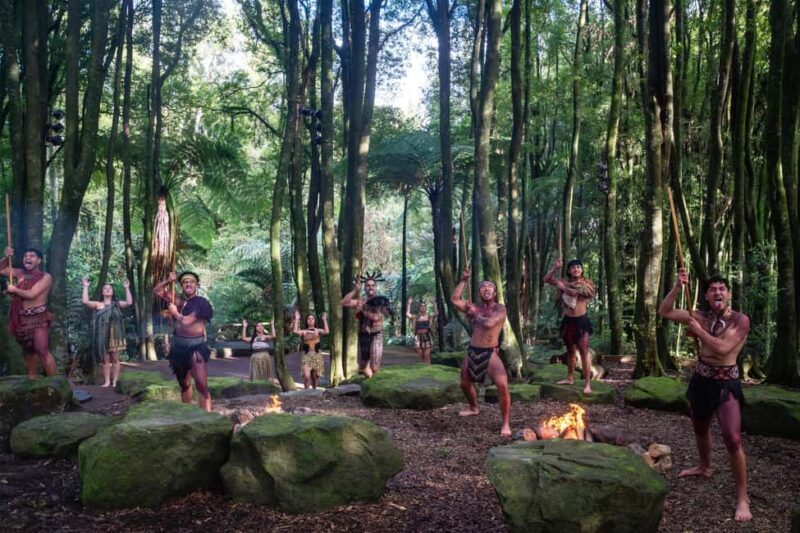 Rotorua: Te Pa Tu Mori Cultural Experience with Dinner - The Highlight Performances