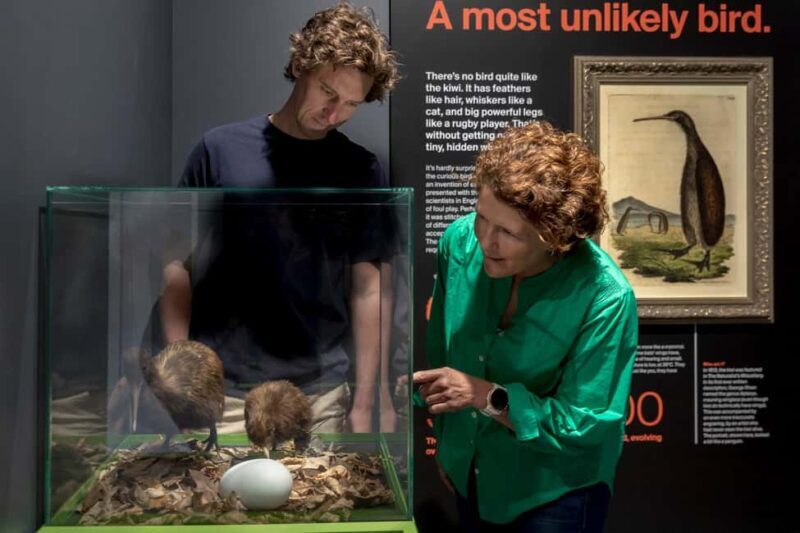 Rotorua: The National Kiwi Hatchery Kiwi Encounter Tour - Seeing Kiwi in the Nocturnal House