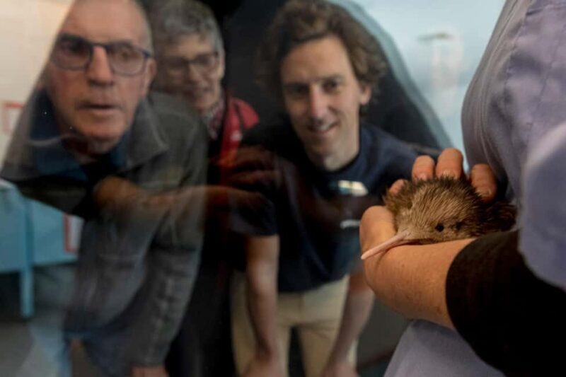 Rotorua: The National Kiwi Hatchery Kiwi Encounter Tour - Who Will Appreciate This Tour?