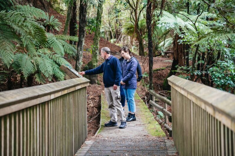 Rotorua: 'Thermal Path Tour' Geothermal half day Tour - Why Choose This Tour?