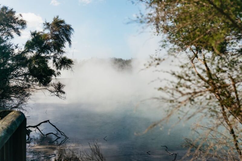 Rotorua: 'Thermal Path Tour' Geothermal half day Tour - Conclusions: Is This Tour Right for You?