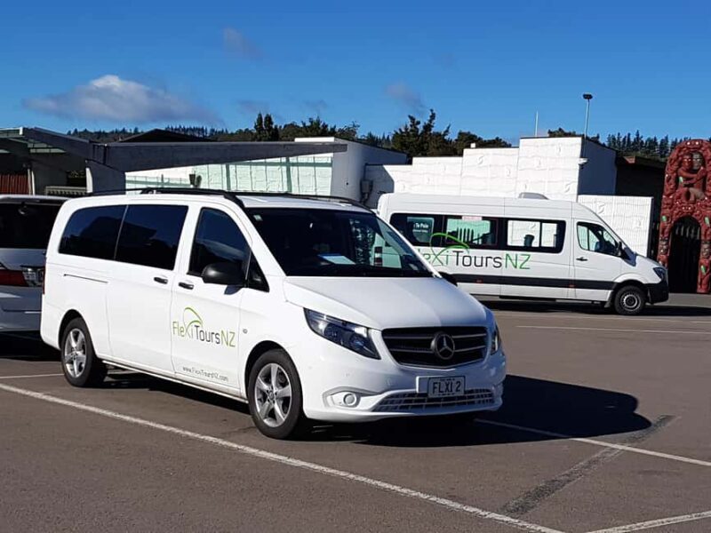 Rotorua to Auckland - Afternoon Transfer with Waitomo Caves - What to Expect on the Tour: A Step-by-Step Breakdown