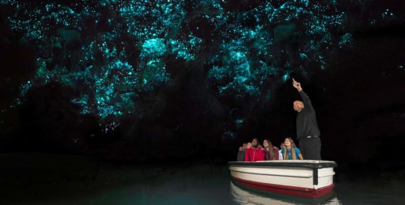 Rotorua to Auckland - Afternoon Transfer with Waitomo Caves - Why Travelers Love This Tour