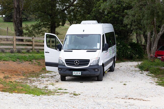 Rotorua to Auckland Afternoon Transfer with Waitomo Glow Worms - A Practical and Authentic Way to Travel Between Rotorua and Auckland