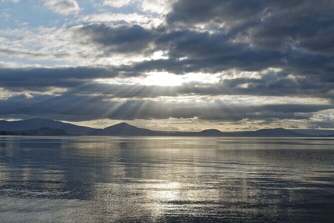 Rotorua to Auckland via Taupo and Hamilton Gardens 1 Way Tour - The Sum Up