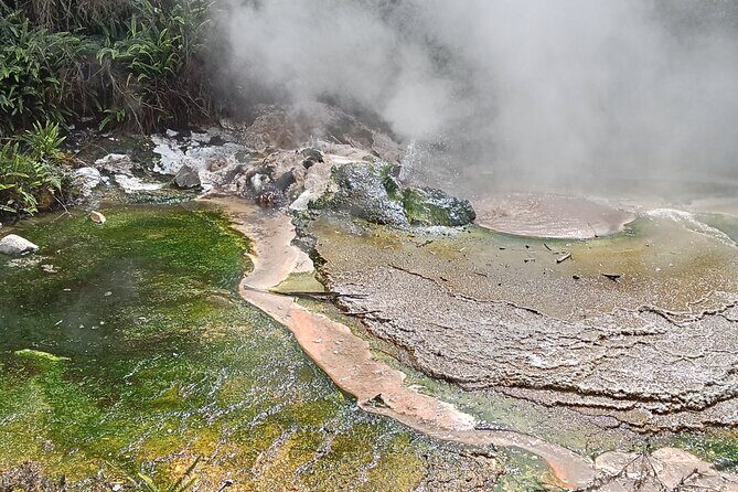 Rotorua to Waimangu Volcanic Valley Morning Shuttle - In-Depth Look at the Rotorua to Waimangu Volcanic Valley Tour