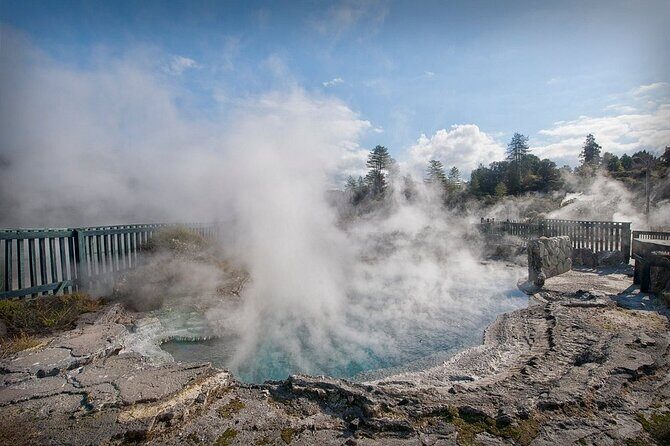 Rotorua Tour from Auckland with buffet Lunch at Skyline Summit - Final Thoughts: Is This Tour Right for You?