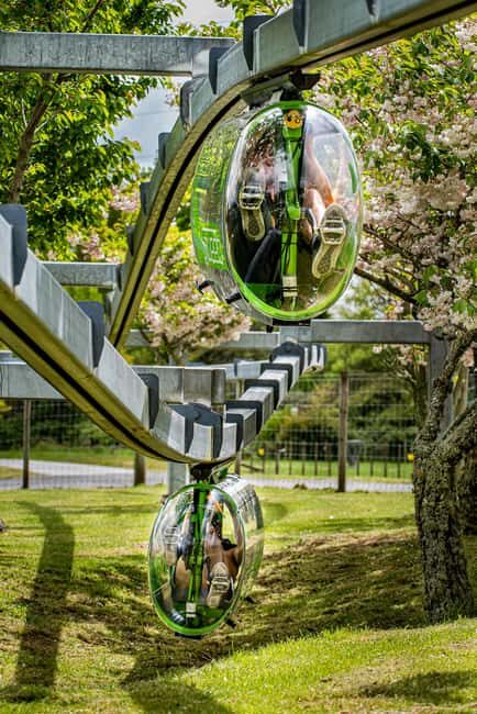 Rotorua: Velocity Valley - Four Ride Pass - The Full Experience: What to Expect and Why It Matters