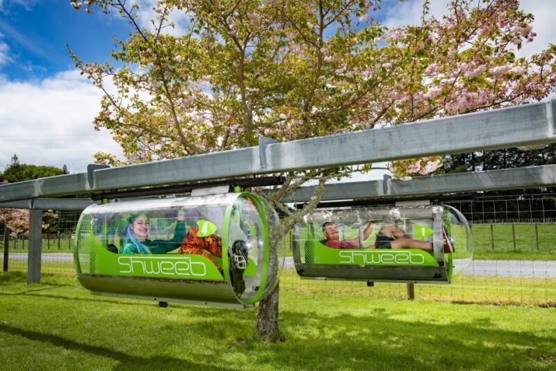 Rotorua: Velocity Valley - One Ride Pass - Discover Rotoruas Velocity Valley - One Ride Pass