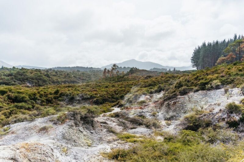 Rotorua: Wai-O-Tapu Geothermal Park Entry Ticket - Key Points