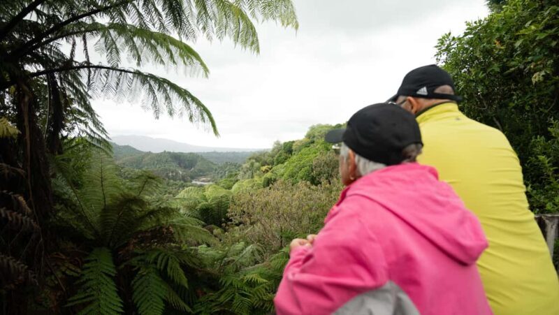Rotorua: Waimangu Valley Walk and Steaming Cliffs Kayak Tour - Walking Through Waimangu Valley