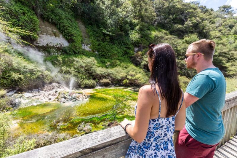 Rotorua: Waimangu Volcanic Valley Ticket & Self-Guided Walk - Rotorua: Waimangu Volcanic Valley Ticket & Self-Guided Walk