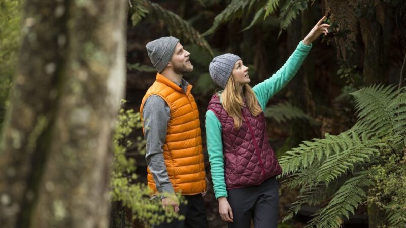 Rotorua: Waimangu Volcanic Valley Ticket & Self-Guided Walk - The Sum Up