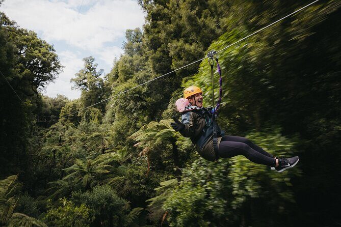 Rotoruas Original 3hr Unique Ancient Forest Zipline Adventure - A Closer Look at the Experience