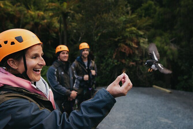 Rotoruas Original 3hr Unique Ancient Forest Zipline Adventure - The Value of This Experience