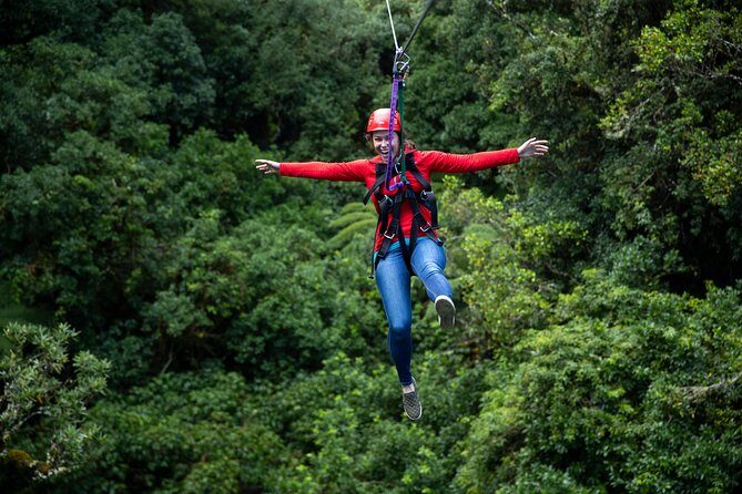 Rotoruas Original 3hr Unique Ancient Forest Zipline Adventure - Who Should Consider This Tour?