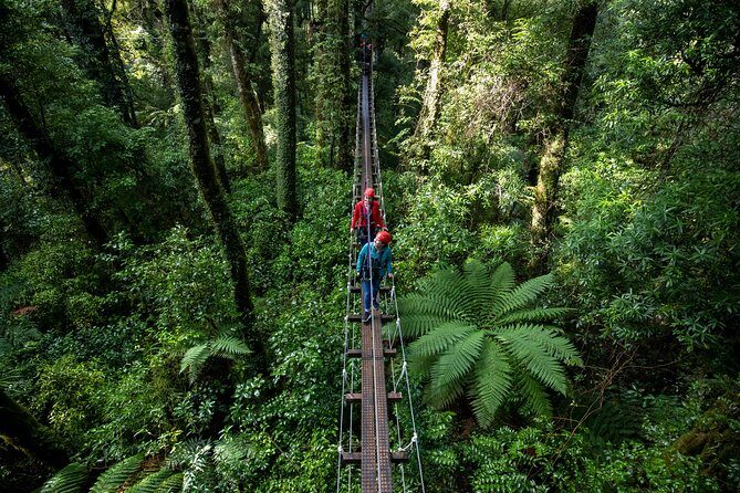 Rotoruas Original 3hr Unique Ancient Forest Zipline Adventure - FAQs
