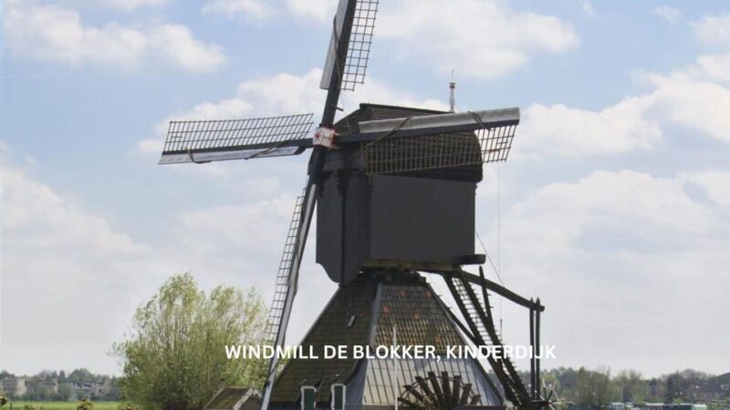Rotterdam and Kinderdijk Daily Walking and Boat Tour - Practical Details: What to Expect