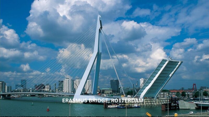 Rotterdam and Kinderdijk Daily Walking and Boat Tour - Value and Considerations