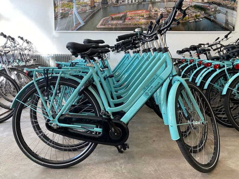 Rotterdam: City Highlights Guided Bike Tour - An In-Depth Look at the Rotterdam Bike Tour