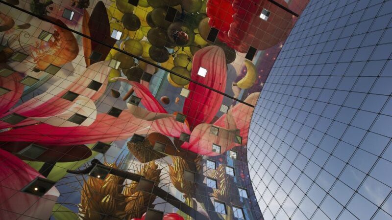 Rotterdam: De Rotterdam, Cube Houses, Watertaxi and Markthal - In-Depth Breakdown of the Experience