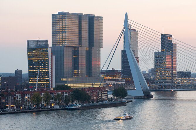 Rotterdam, Delft and The Hague Guided Tour from Amsterdam - Authentic Traveler Insights