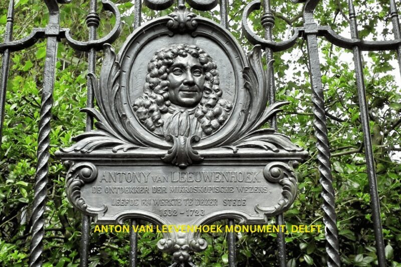 Rotterdam & Delft Daily Walking Tour - A Deep Dive into the Rotterdam & Delft Tour Experience