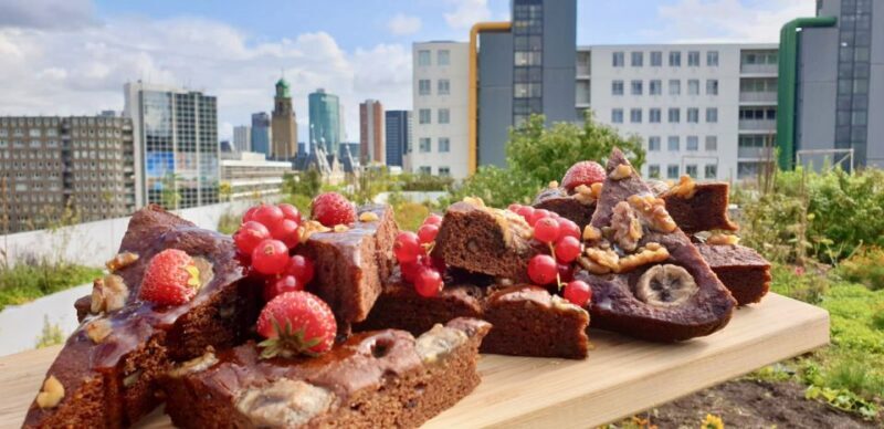 Rotterdam: Food Tour by Bike - A Flavorful Ride Through Rotterdam’s Evolving Neighborhoods