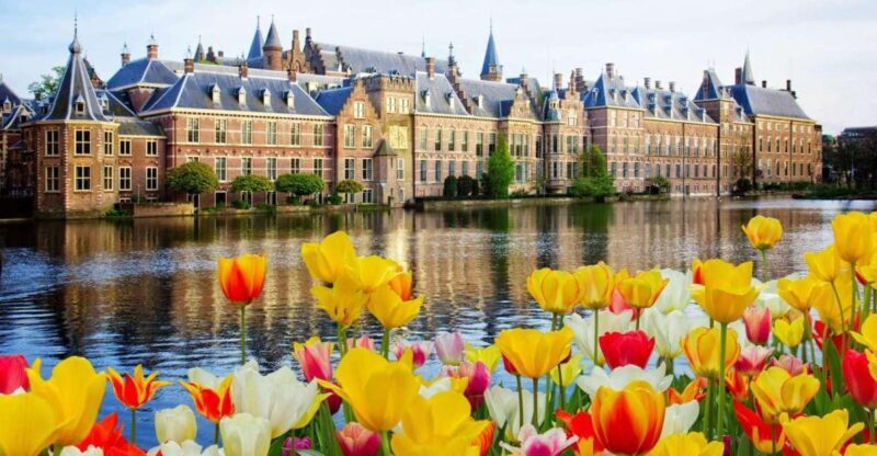Rotterdam, Hague & Delft Private Tour from Amsterdam by Car - Discovering Holland: Rotterdam, Hague & Delft in Depth