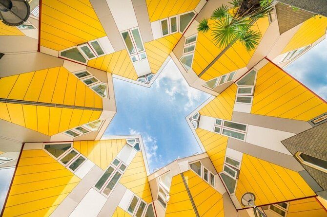 Rotterdam Highlights Private Walking Tour - Value and Experience: What Does This Tour Offer?