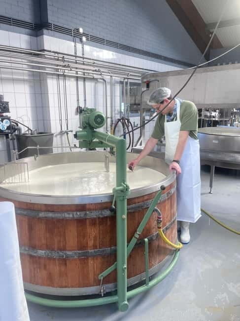 Rotterdam: Kinderdijk UNESCO Cheese Farm Experience - A Deep Dive into the Experience