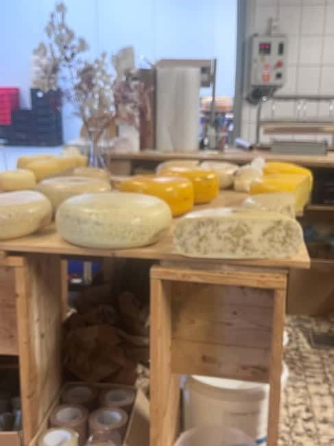 Rotterdam: Kinderdijk UNESCO Cheese Farm Experience - FAQs