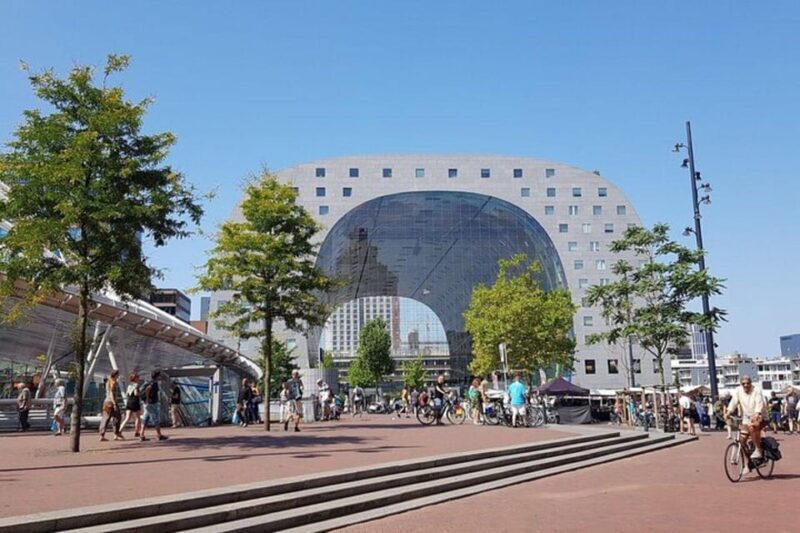 Rotterdam: Must-See Attractions Guided Walking Tour - Who Will Love This Tour?